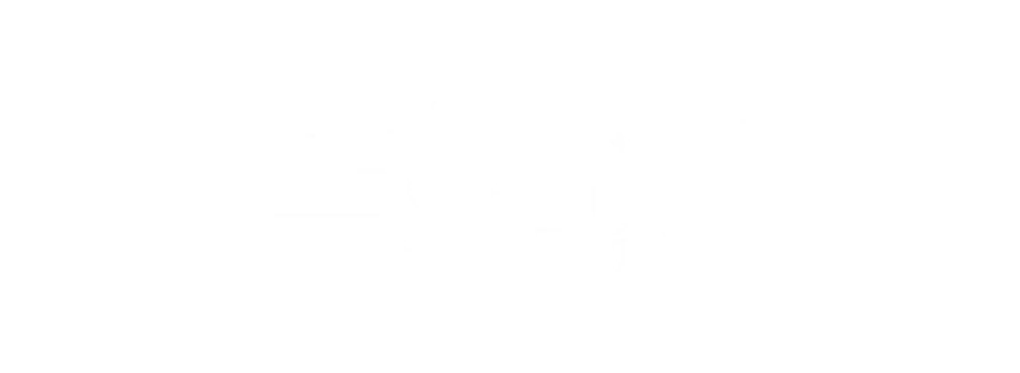 zvky